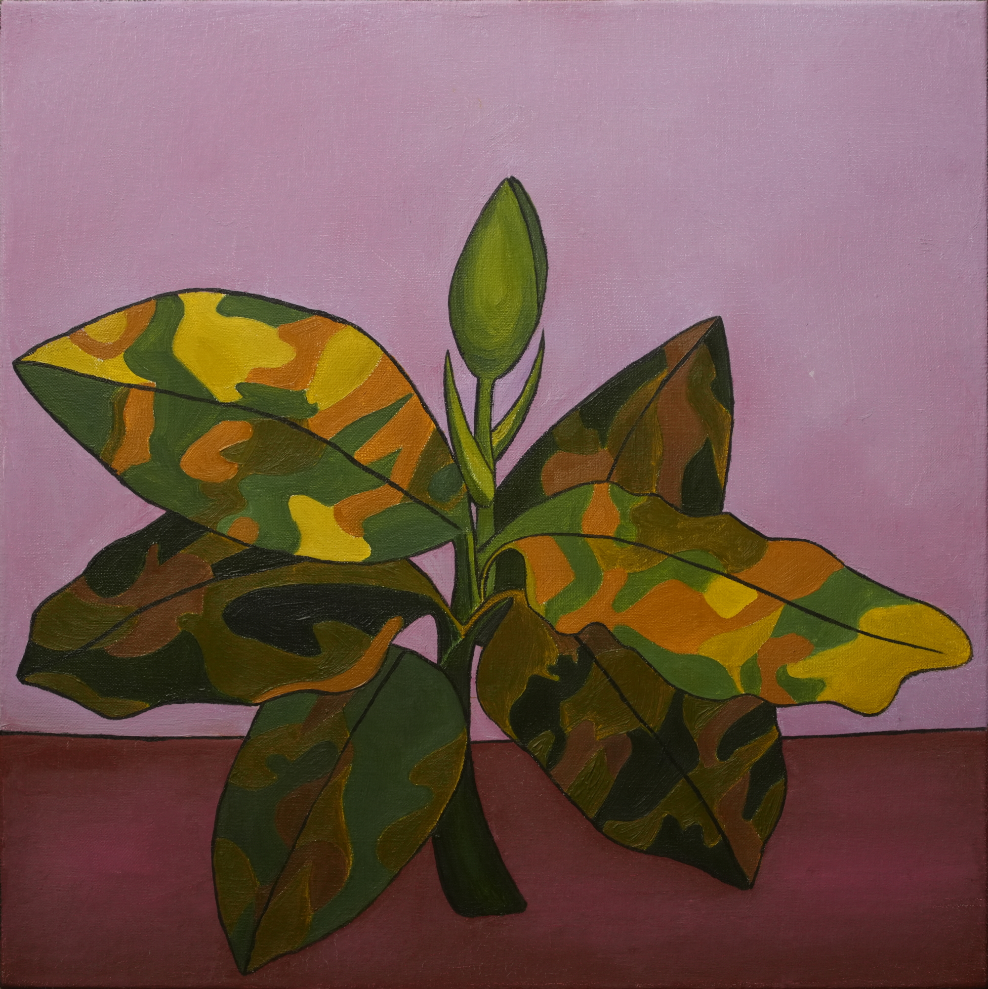 Пять стадий принятия неизбежного 1. Холст, масло.